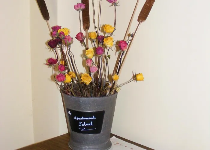 شقة L'arrel